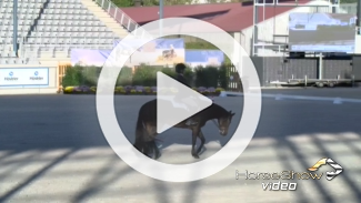 Play video
